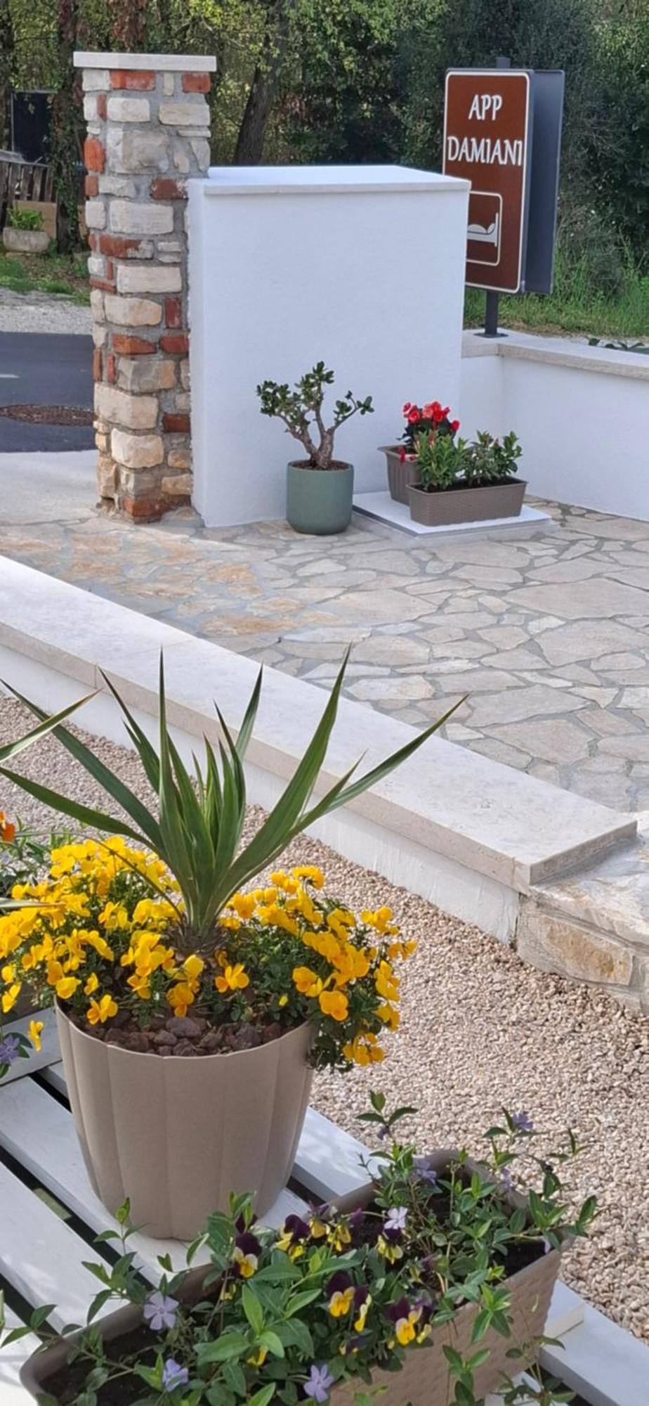 Apartment Damiani Umag