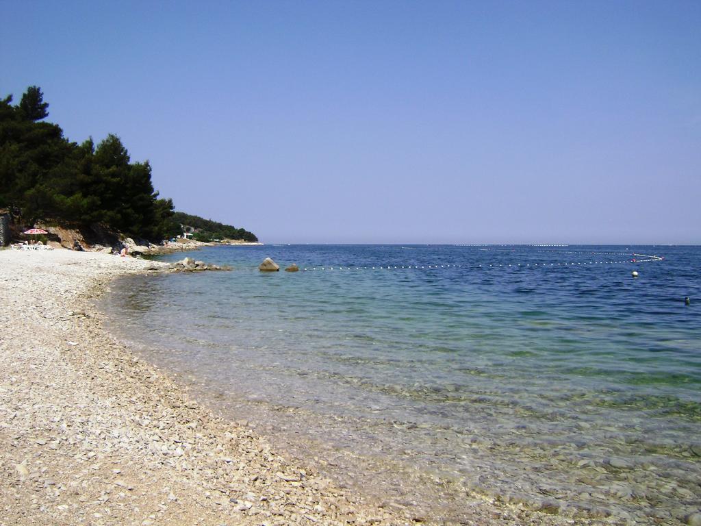 Apartman Damiani *