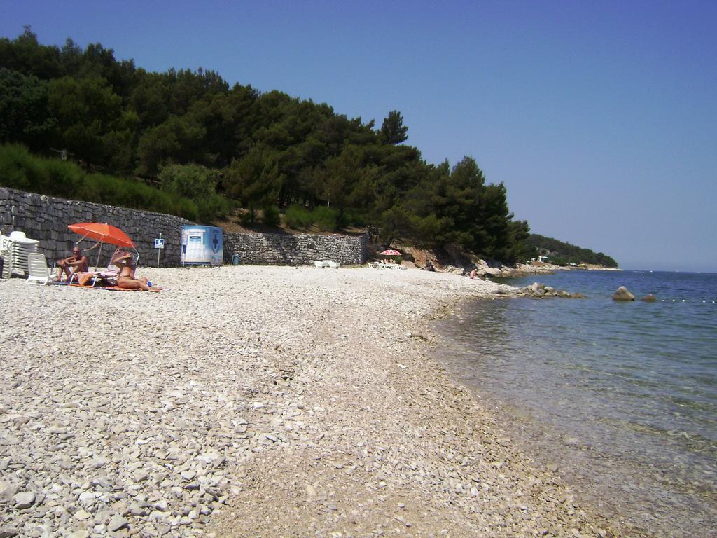 Damiani